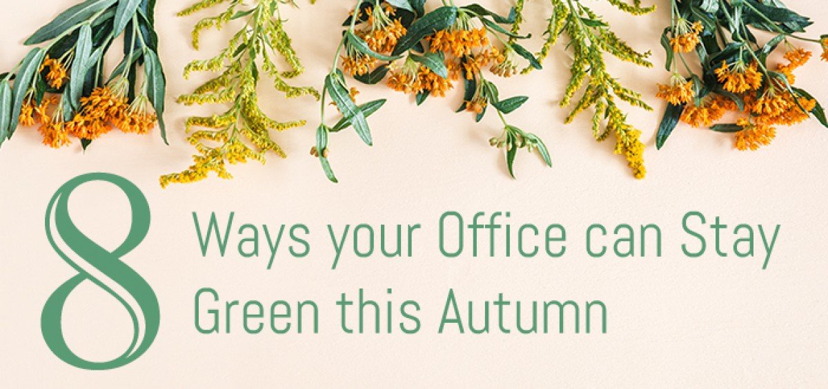 Eight Ways Your Office Can Stay Green This Fall